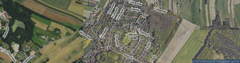 Zdjęcie satelitarne Magnolii ul.