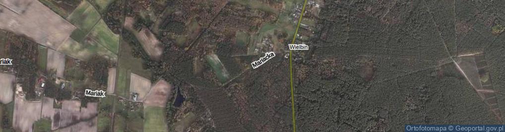 Zdjęcie satelitarne Mariacka ul.