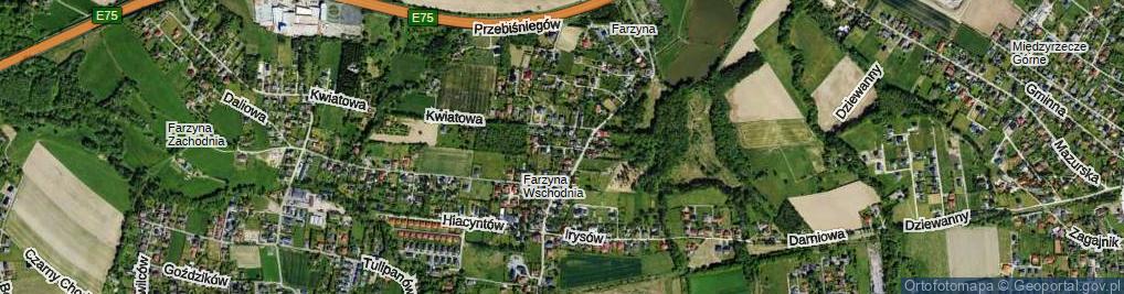 Zdjęcie satelitarne Magnolii ul.