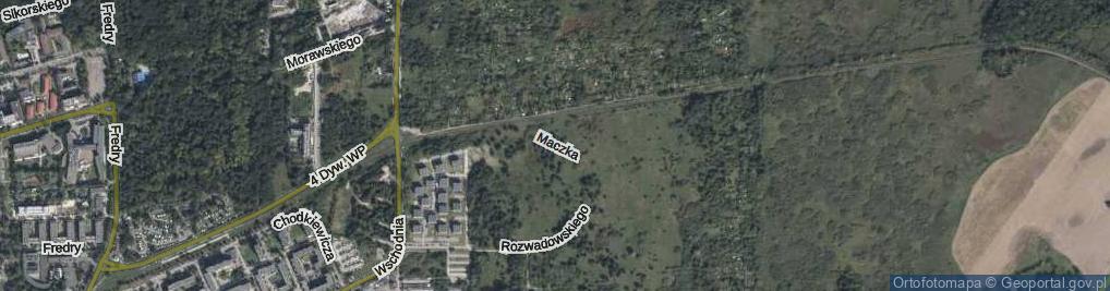 Zdjęcie satelitarne Maczka Stanisława, gen. ul.