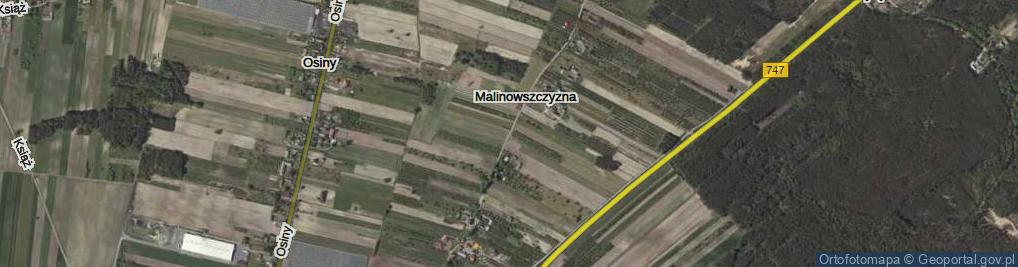 Zdjęcie satelitarne Malinowszczyzna ul.