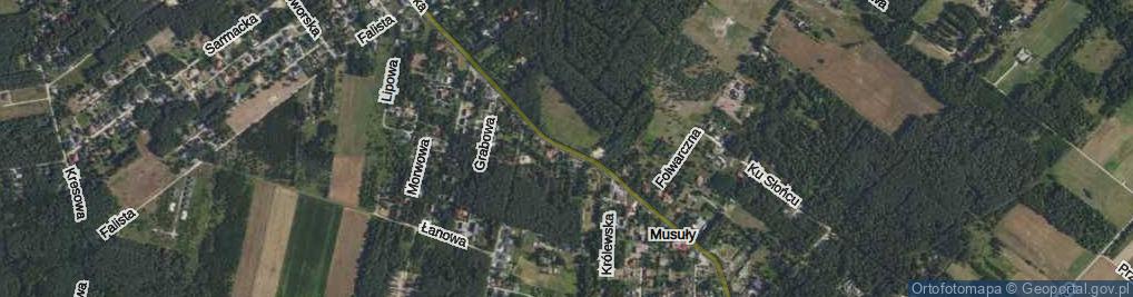 Zdjęcie satelitarne Mazowiecka ul.