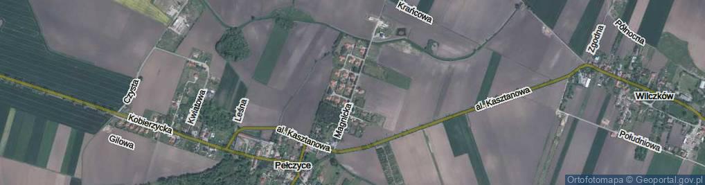 Zdjęcie satelitarne Magnicka ul.