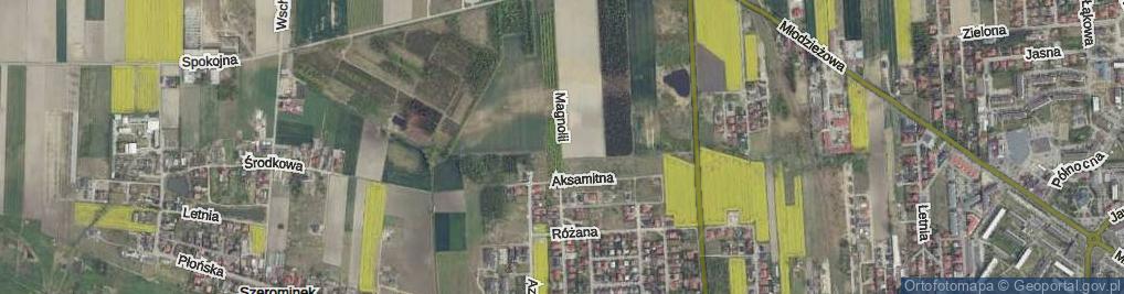 Zdjęcie satelitarne Magnolii ul.