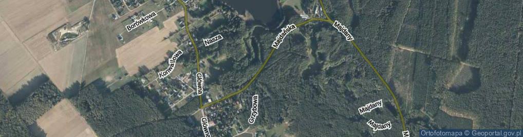 Zdjęcie satelitarne Majdańska ul.