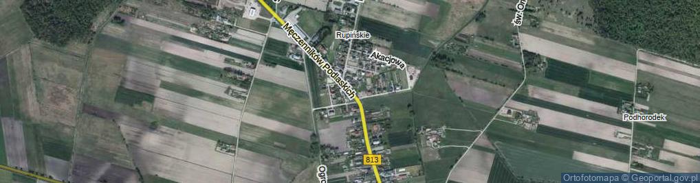 Zdjęcie satelitarne Męczenników Podlaskich ul.