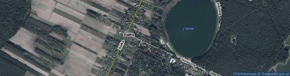 Zdjęcie satelitarne Miła ul.