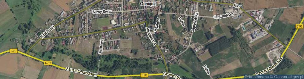 Zdjęcie satelitarne Mickiewicza Adama ul.