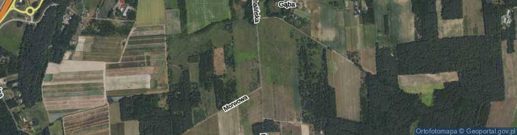 Zdjęcie satelitarne Michalińska ul.