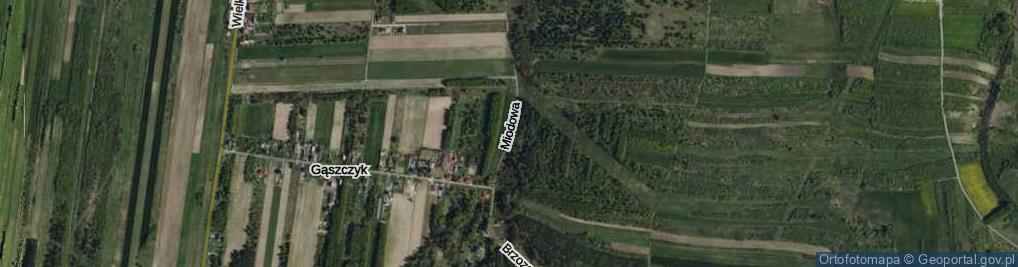 Zdjęcie satelitarne Miodowa ul.