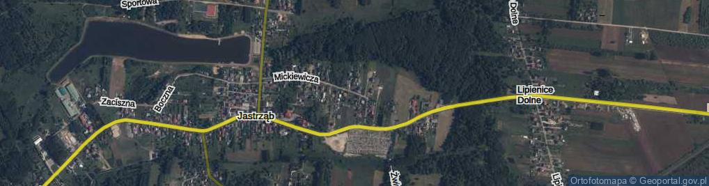 Zdjęcie satelitarne Mickiewicza Adama ul.