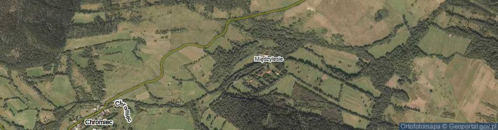 Zdjęcie satelitarne Międzylesie ul.