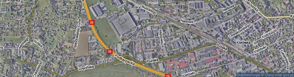 Zdjęcie satelitarne Mięsowicza Michała ul.