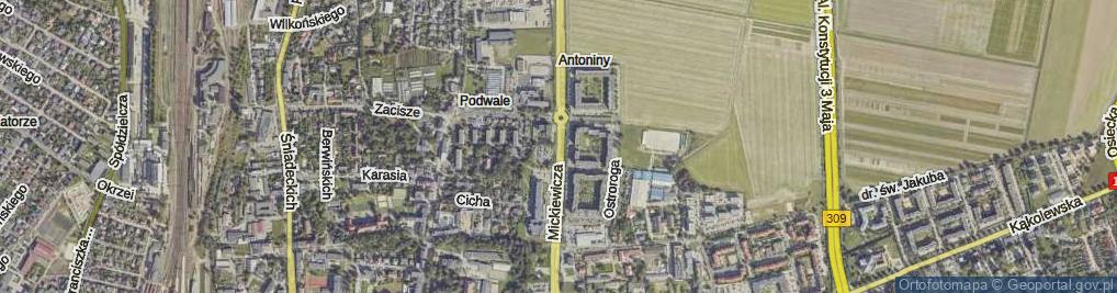 Zdjęcie satelitarne Mickiewicza Adama ul.