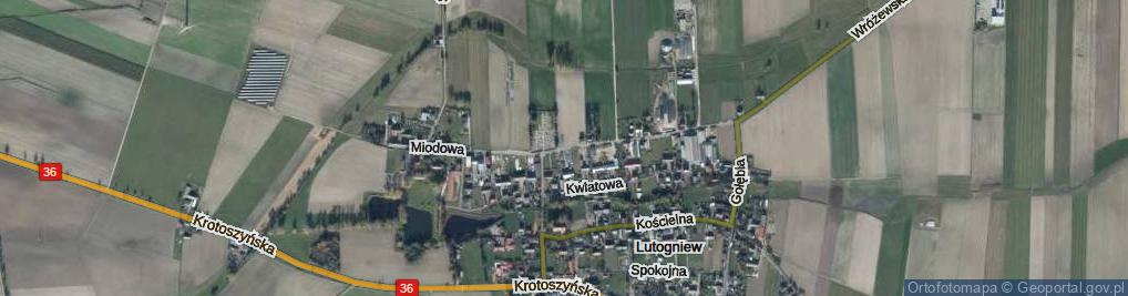 Zdjęcie satelitarne Miodowa ul.