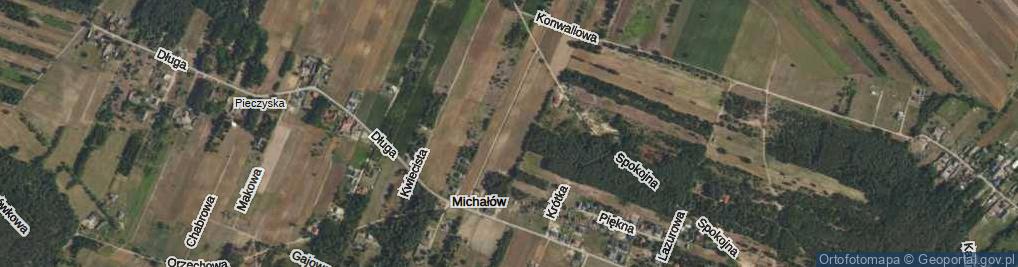 Zdjęcie satelitarne Michałów ul.