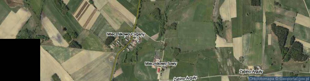 Zdjęcie satelitarne Miecznikowo-Sowy ul.
