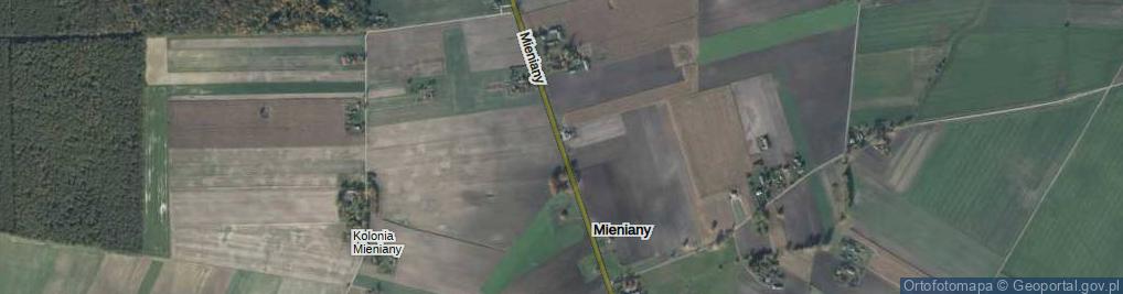 Zdjęcie satelitarne Mieniany ul.
