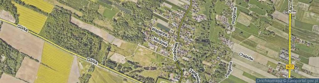 Zdjęcie satelitarne Miodowa ul.