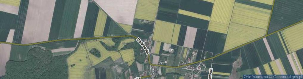 Zdjęcie satelitarne Mietkowska ul.