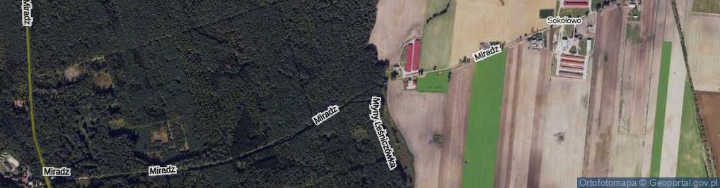 Zdjęcie satelitarne Miradz ul.