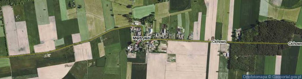 Zdjęcie satelitarne Międzyleś ul.