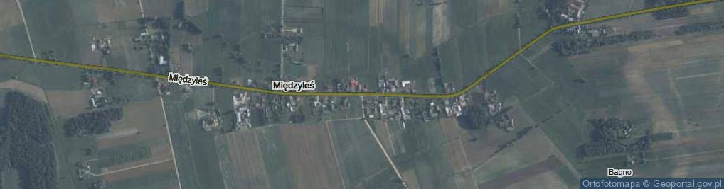 Zdjęcie satelitarne Międzyleś ul.