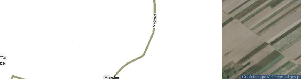 Zdjęcie satelitarne Miłowice ul.