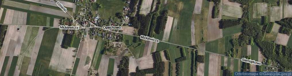 Zdjęcie satelitarne Mickiewicza Adama ul.