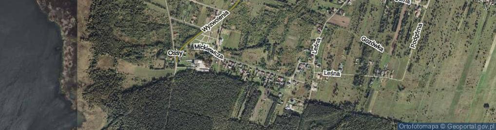 Zdjęcie satelitarne Mickiewicza Adama ul.