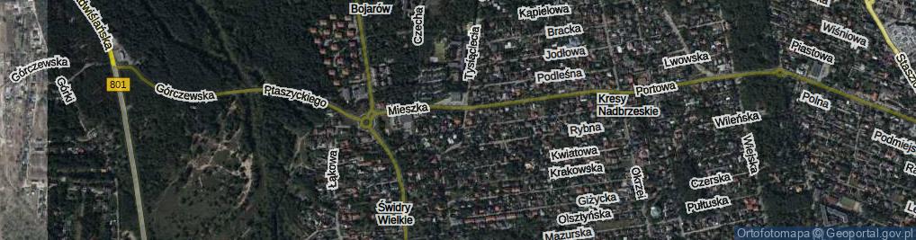 Zdjęcie satelitarne Mieszka I ul.