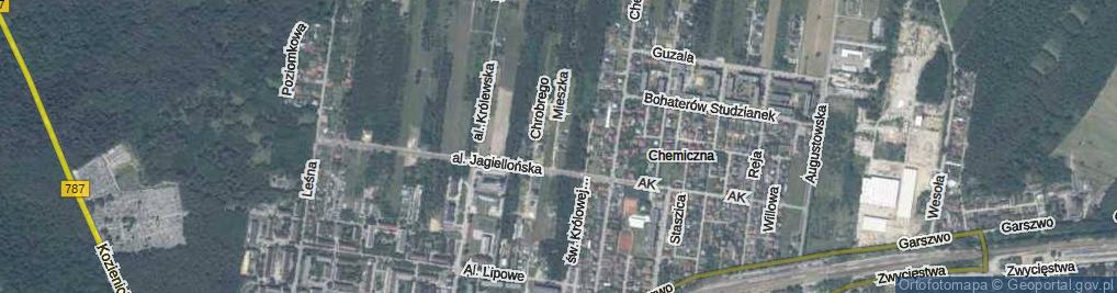 Zdjęcie satelitarne Mieszka I ul.