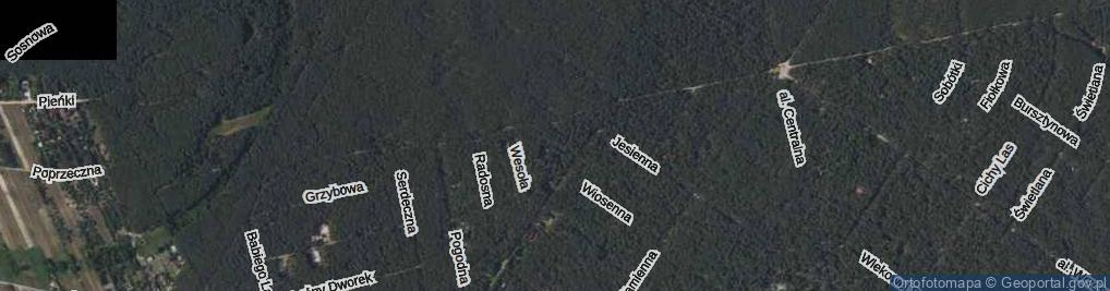 Zdjęcie satelitarne Miła ul.