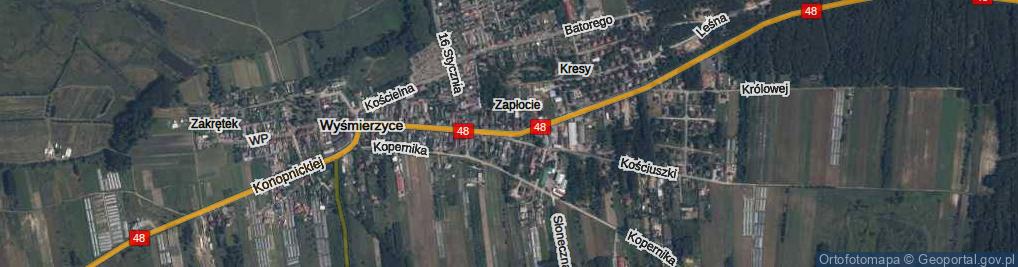 Zdjęcie satelitarne Mickiewicza Adama ul.
