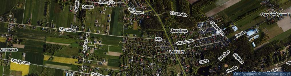 Zdjęcie satelitarne Miła ul.