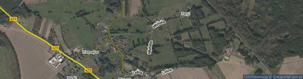 Zdjęcie satelitarne Młyńska ul.