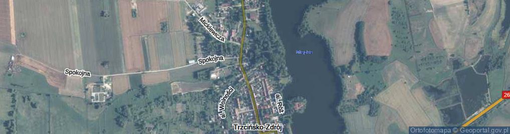 Zdjęcie satelitarne Młyńska ul.