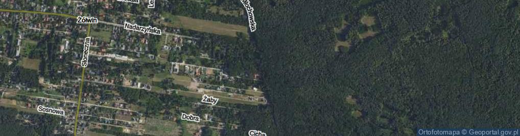 Zdjęcie satelitarne Młochowska ul.