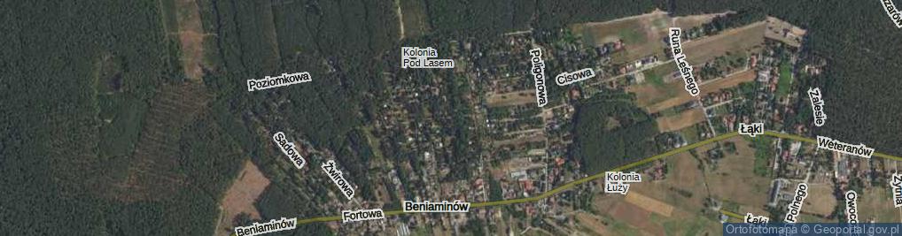 Zdjęcie satelitarne Modrzewiowa ul.