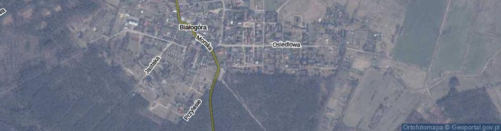 Zdjęcie satelitarne Modrzewiowa ul.