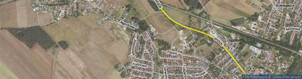 Zdjęcie satelitarne Modrzewiowa ul.