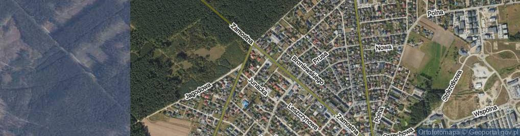 Zdjęcie satelitarne Modrzewiowa ul.