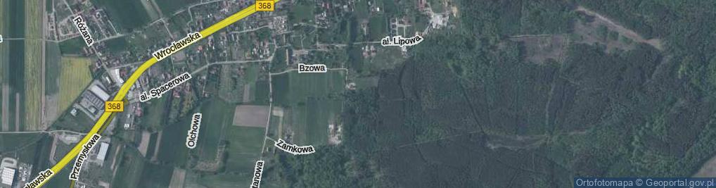 Zdjęcie satelitarne Modrzewiowa ul.