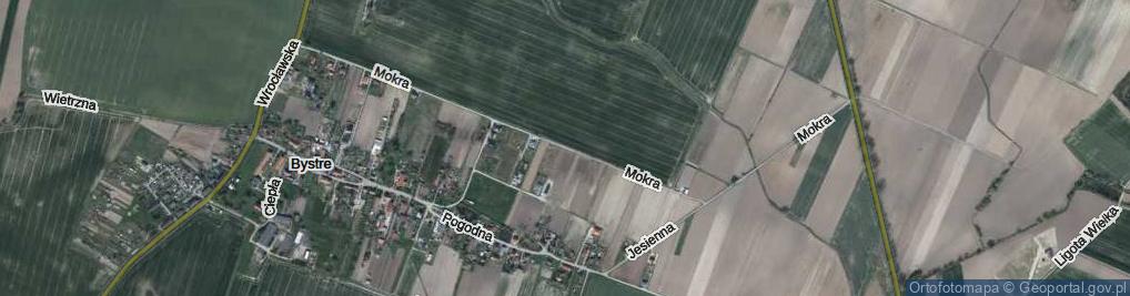 Zdjęcie satelitarne Mokra ul.