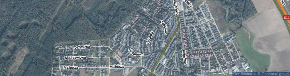 Zdjęcie satelitarne Modrzewiowa ul.
