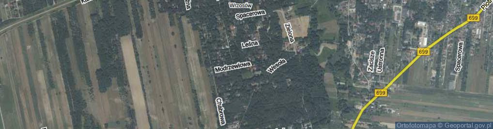 Zdjęcie satelitarne Modrzewiowa ul.