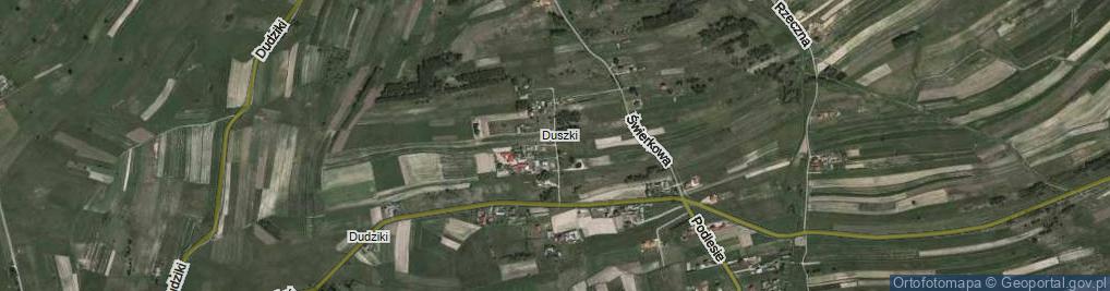 Zdjęcie satelitarne Modrzewiowa ul.