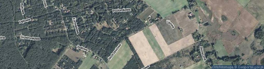 Zdjęcie satelitarne Modrzewiowa ul.