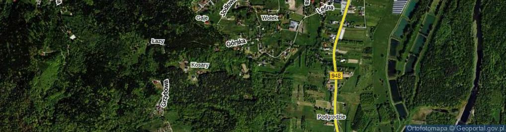 Zdjęcie satelitarne Modrzewiowa ul.