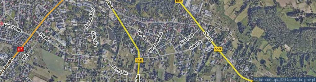 Zdjęcie satelitarne Modrzewiowa ul.